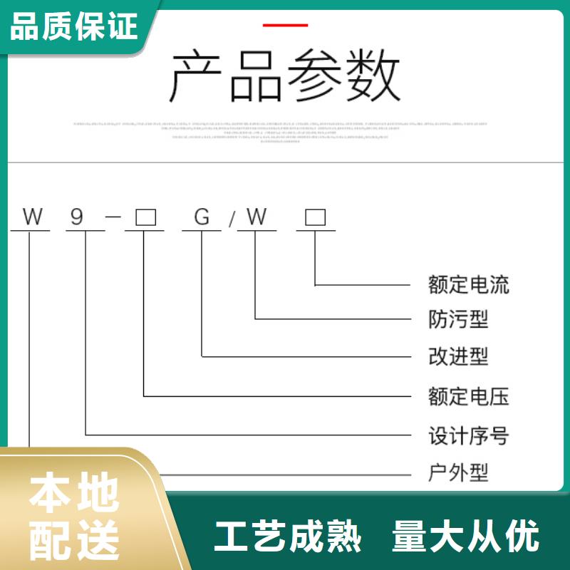 【羿振电气】高压隔离开关*GW9-12KV/630欢迎订购