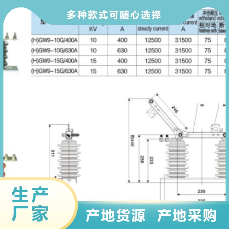 户外高压隔离开关HGW1-10KV/630