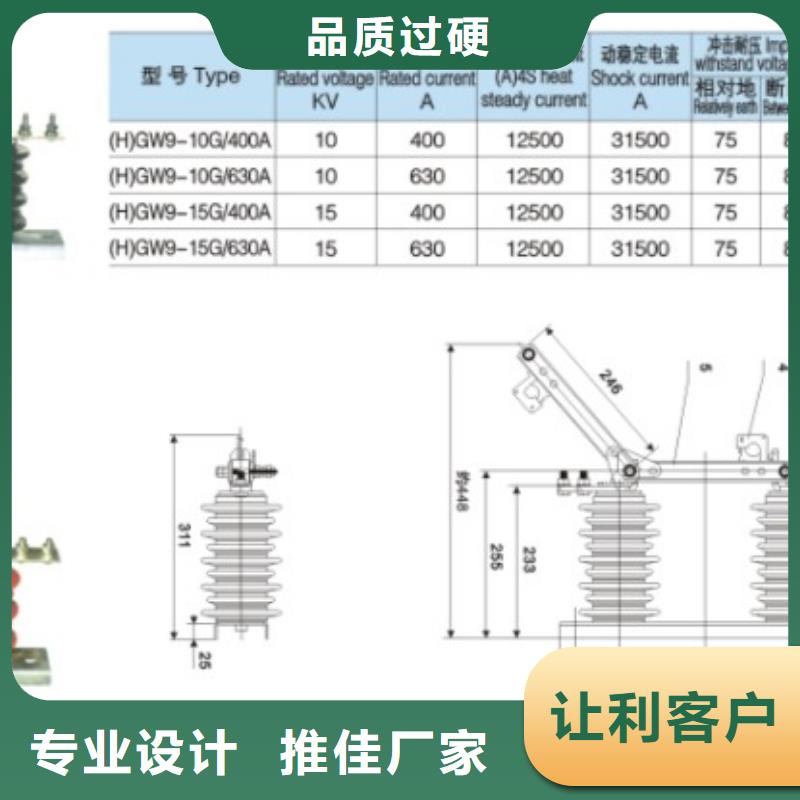 10KV单级隔离开关HGW9-12KV/630A