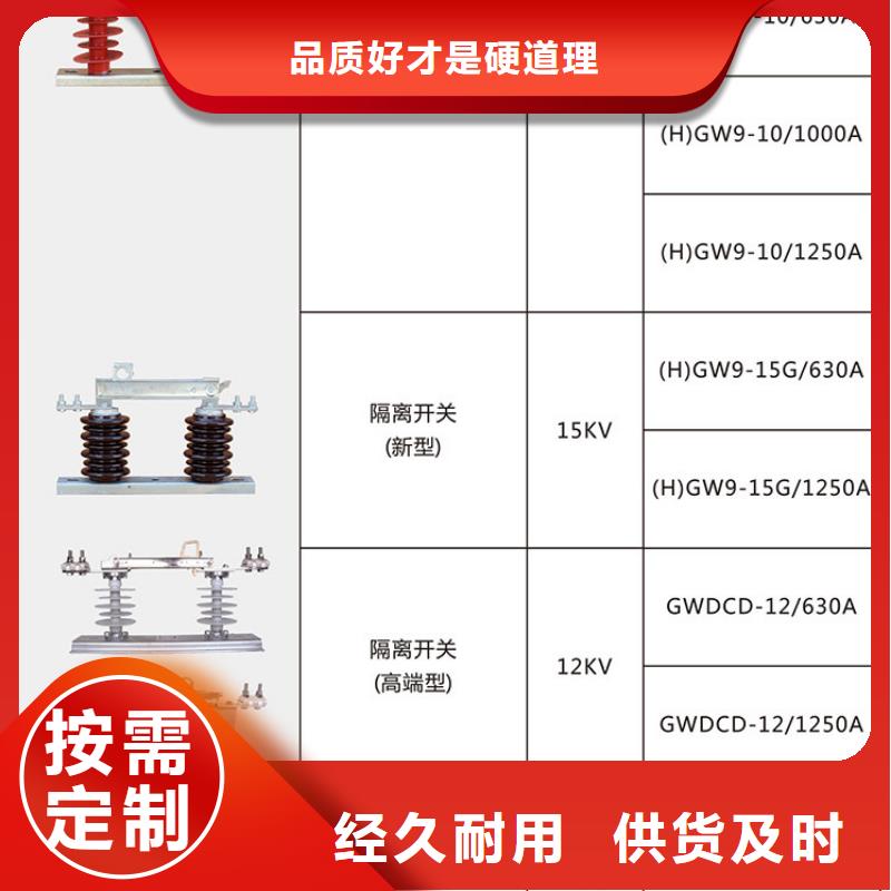 品牌【羿振电气】HGW9-35W/1250A隔离刀闸生产厂家