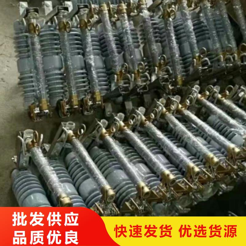 氧化锌避雷器Y10W5-54/130图片浙江羿振电气有限公司