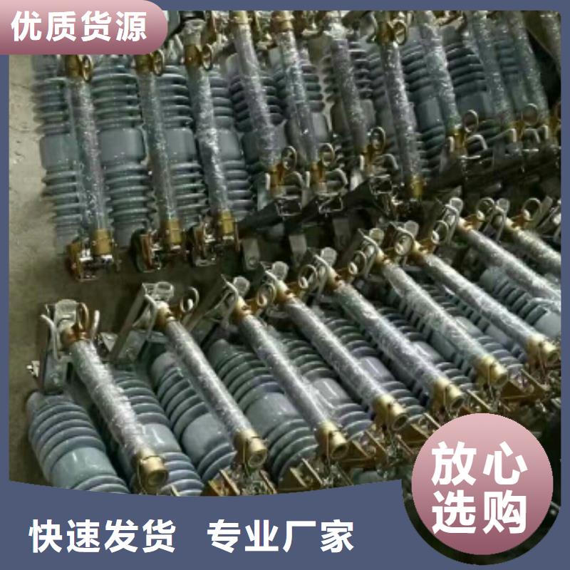 氧化锌避雷器YH5W5-51/130制造厂家浙江羿振电气有限公司