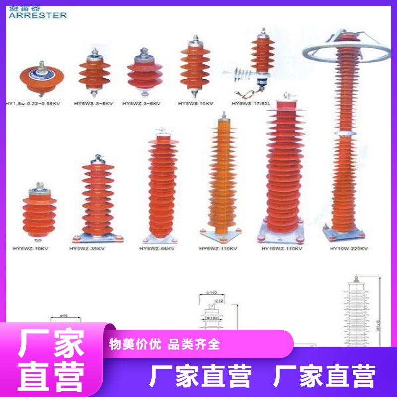【避雷器】 绝缘子厂家选择大厂家事心