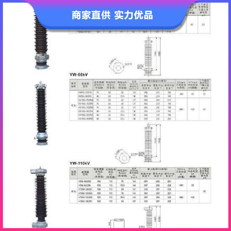 避雷器Y5WZ-51/134GY