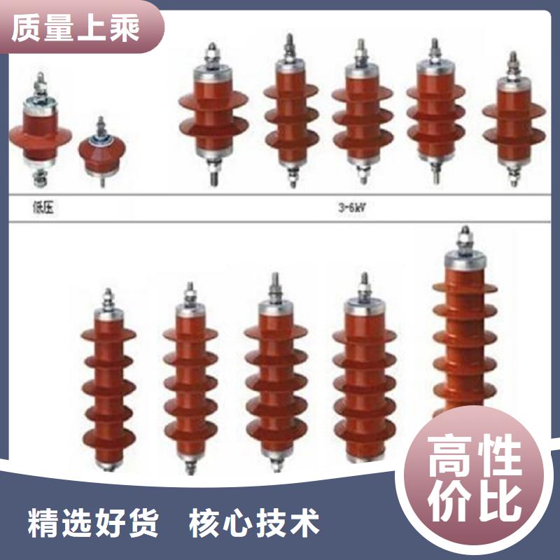 【避雷器】Y10W1-300/693(G)W