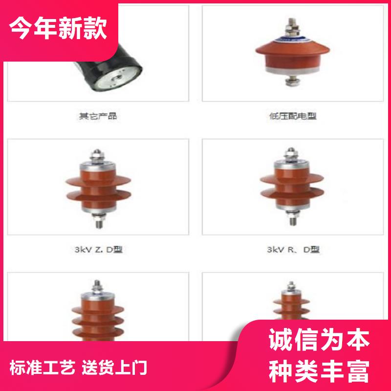 金属氧化物避雷器HYSWS-17/50