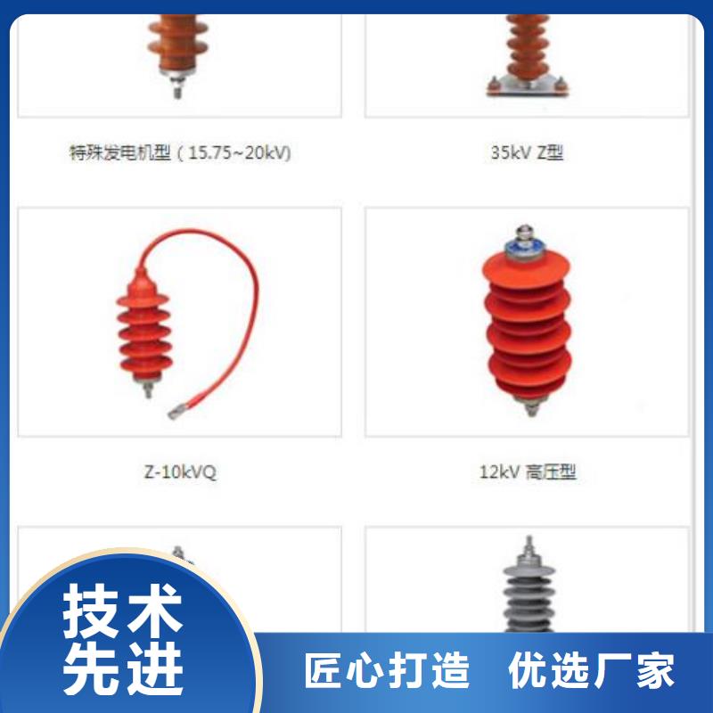 品牌：【羿振电力】避雷器Y10W-200/496