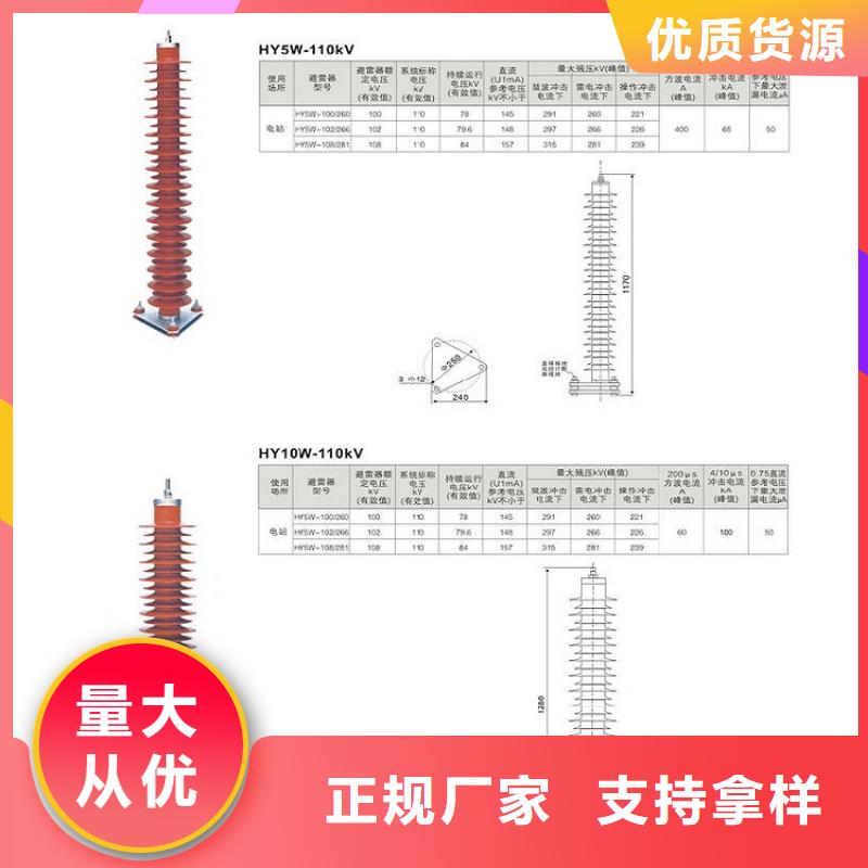 避雷器Y1.5W-30/80W浙江羿振电气有限公司