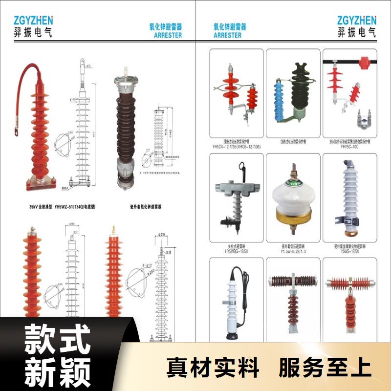 避雷器YH10W-100/260G