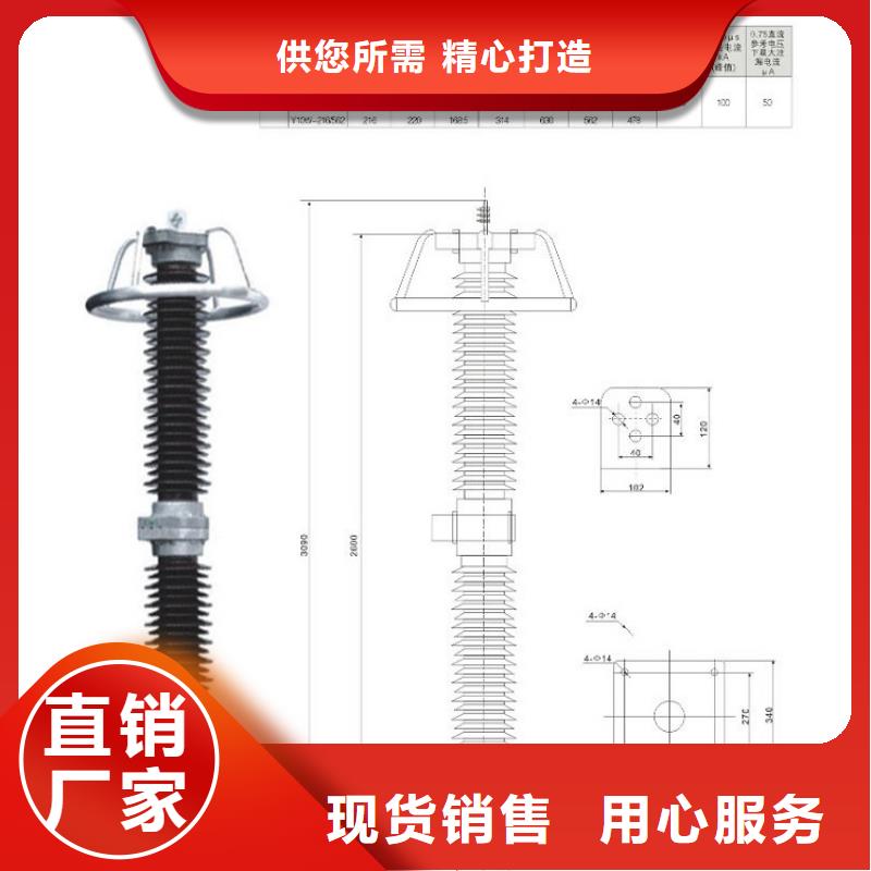 氧化锌避雷器Y10W-51/127现货报价