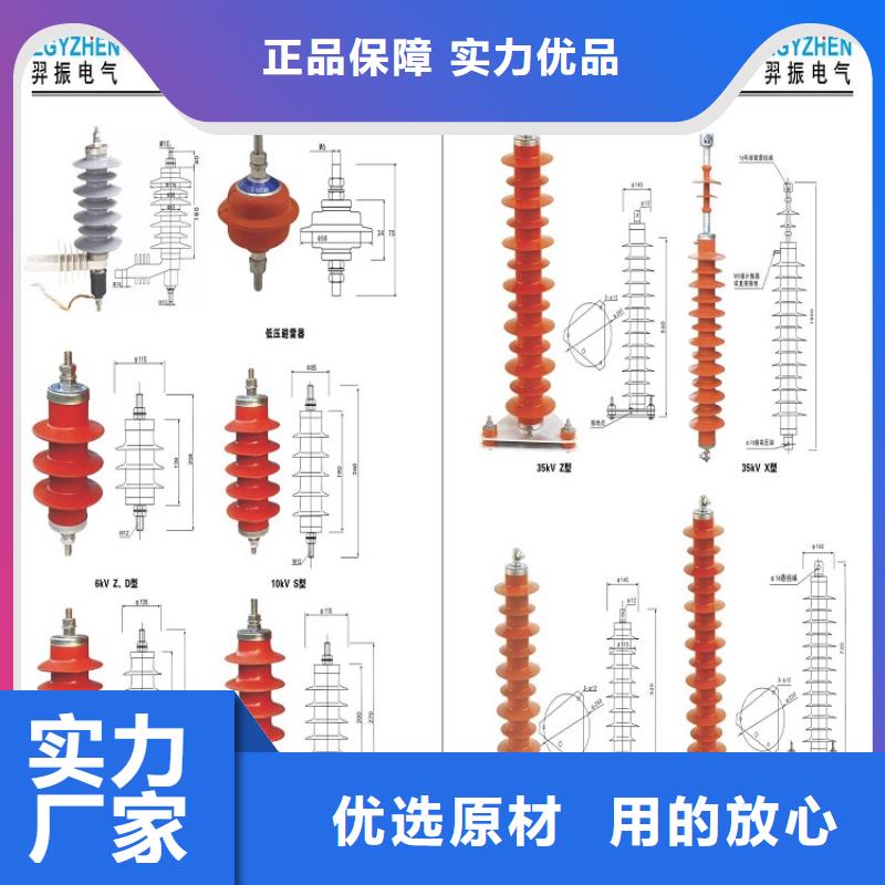 _避雷器Y10W5-108/281GY【羿振电力设备】