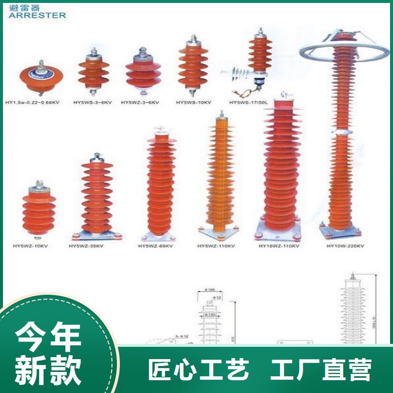 避雷器YH5CX5-100/260，放电计数器