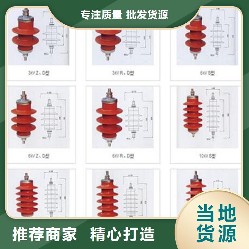 品牌：【羿振电力】避雷器Y10W-200/496