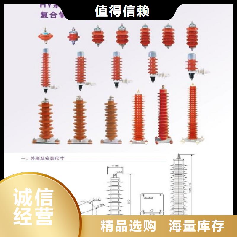 避雷器YH5WX3-54/134L.