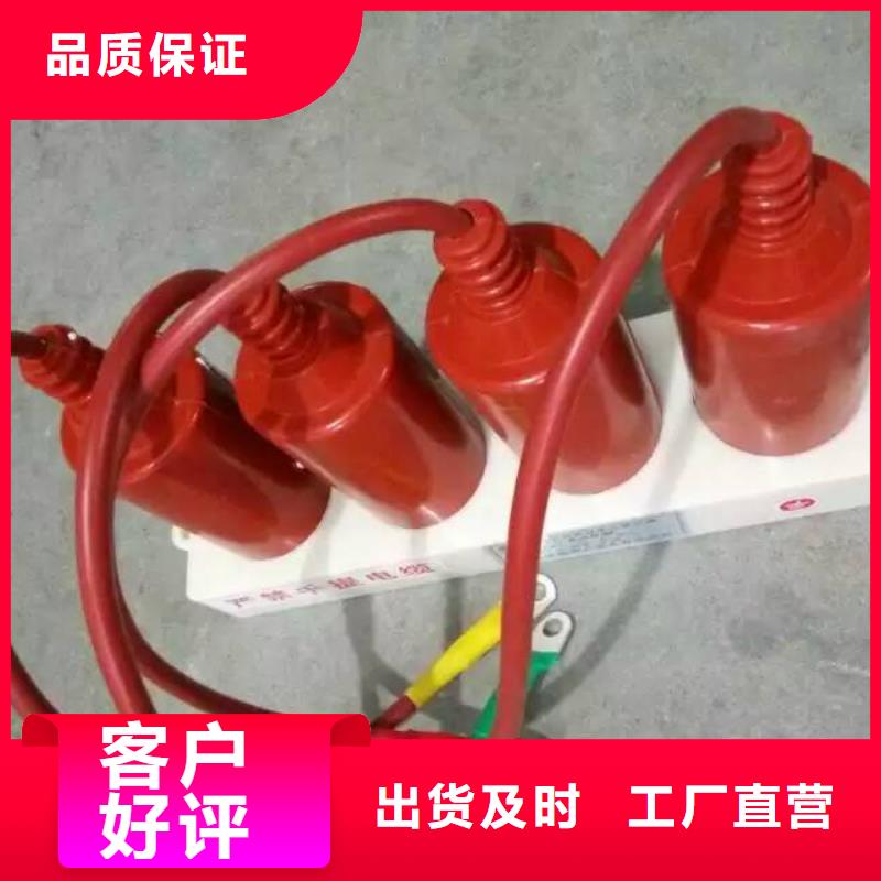 保护器(组合式避雷器)HBP-J-13.8