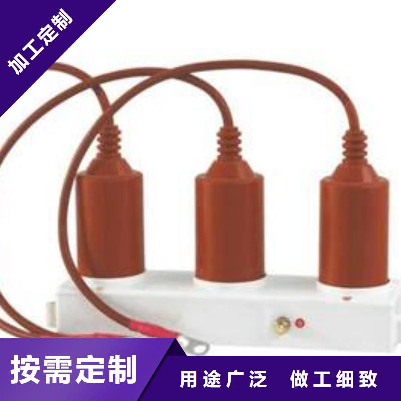 保护器(组合式避雷器)HBP-Z-12.7/31