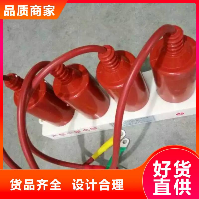 〖过电压保护器〗TBP-A-42F/400W规格齐全