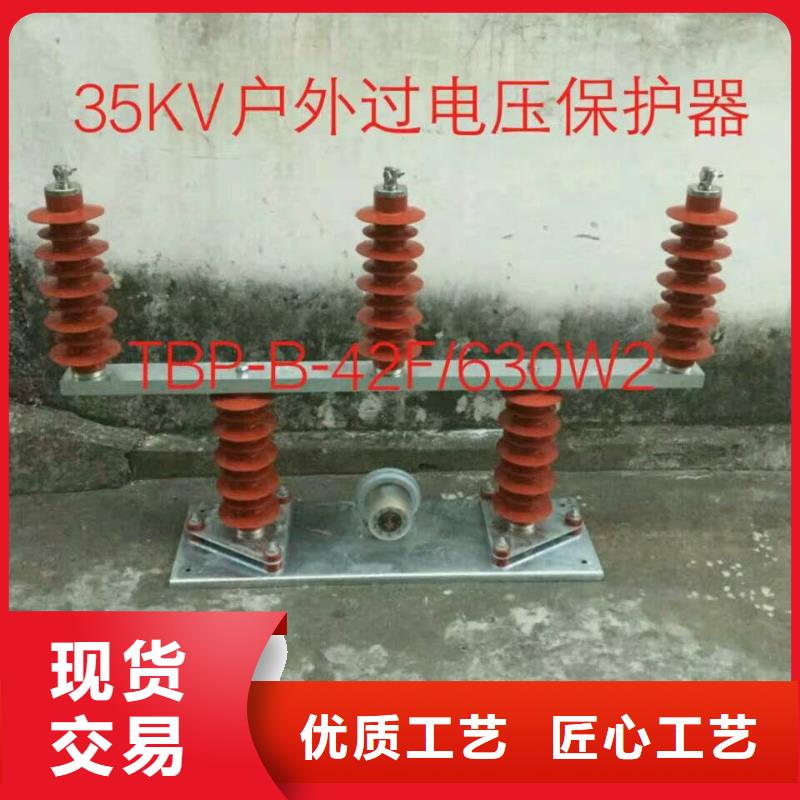 过电压保护器金属氧化物避雷器现货销售