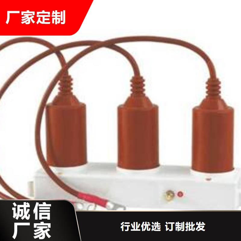 【过电压保护器/组合式避雷器】HY5WZ-51/150*51/134