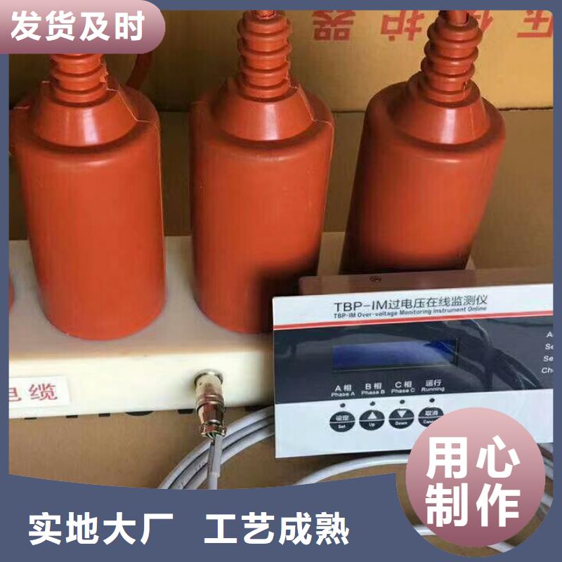 过电压保护器YH5WS-10/30*10/30