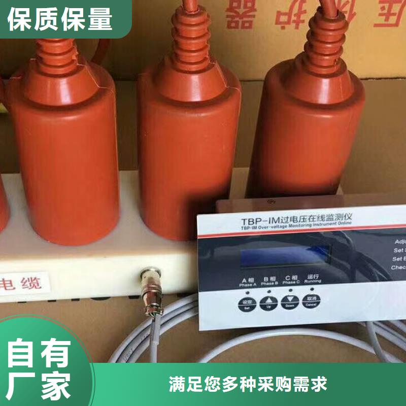 保护器(组合式避雷器)HBP-Z-12.7/31