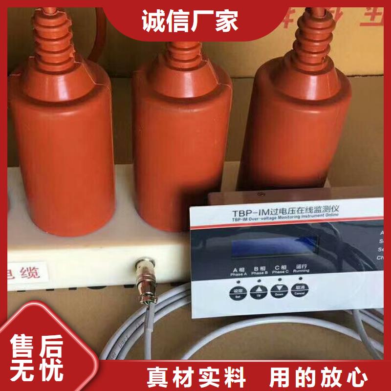 保护器(组合式避雷器)BSTG-B-7.6