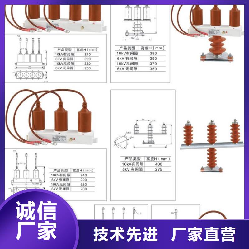 保护器(组合式避雷器)BSTG-B-7.6