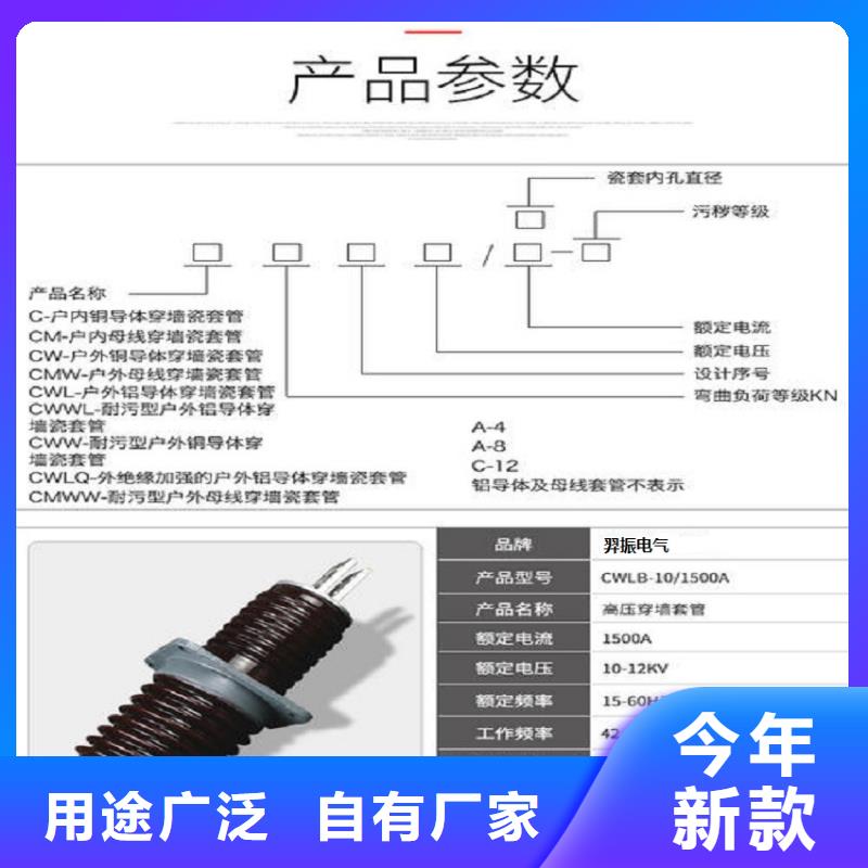 穿墙套管CWWL-20/400A-4