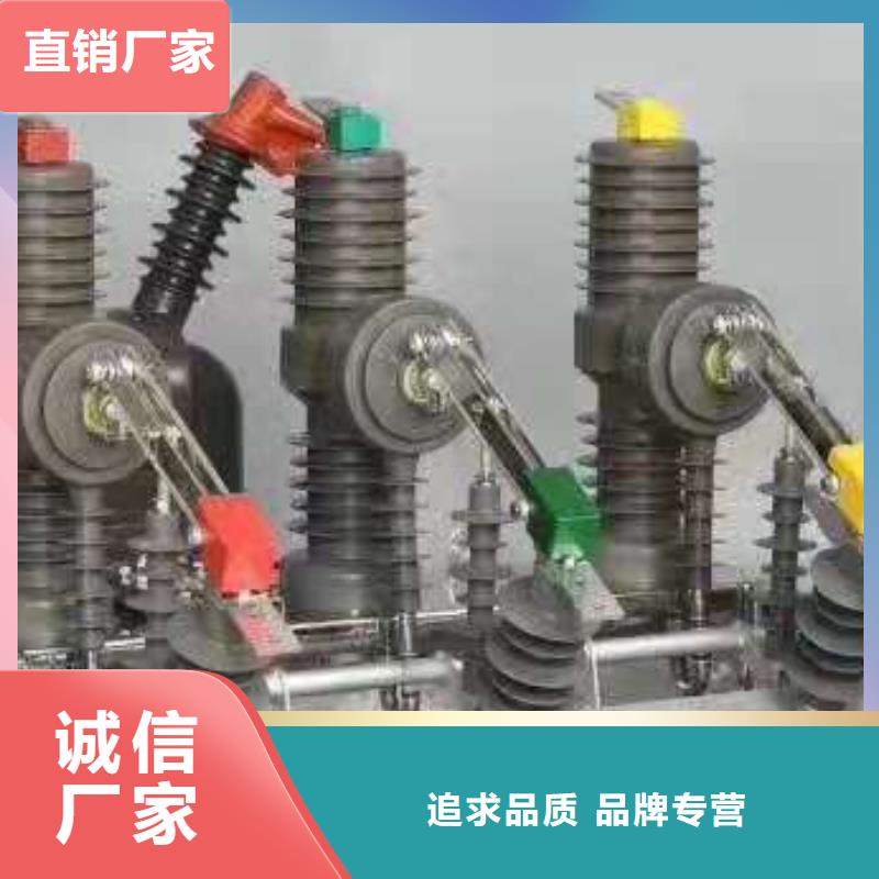 【羿振】质量为本ZW32真空断路器穿墙套管符合标准-老品牌厂家