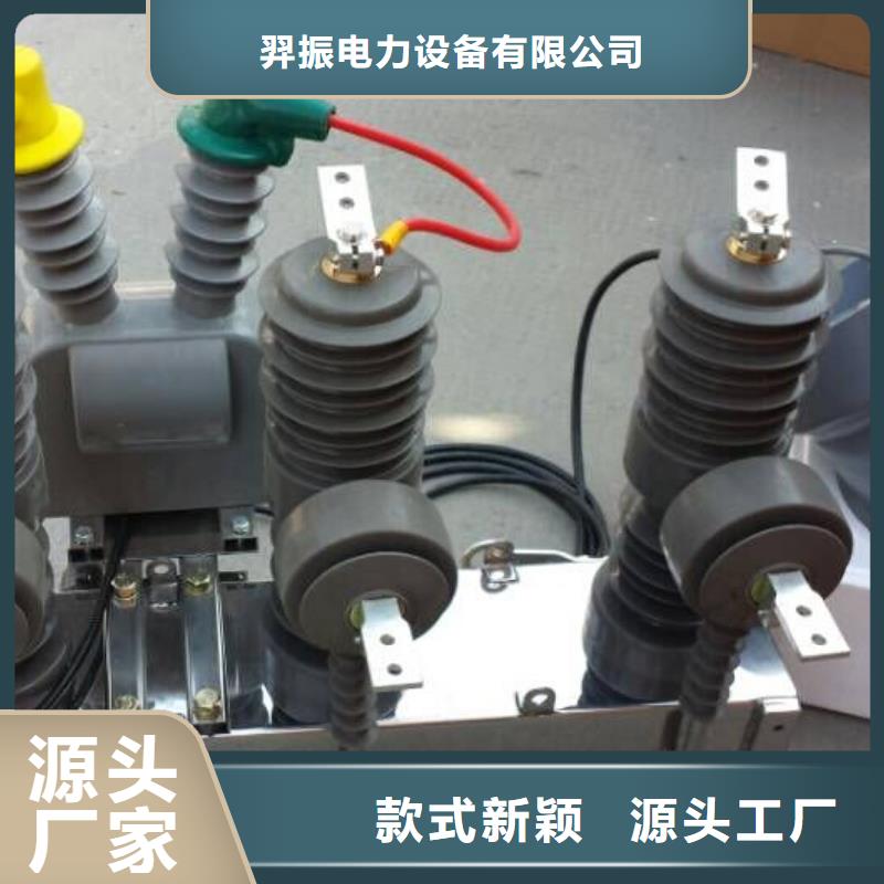 ZW32-10KV.