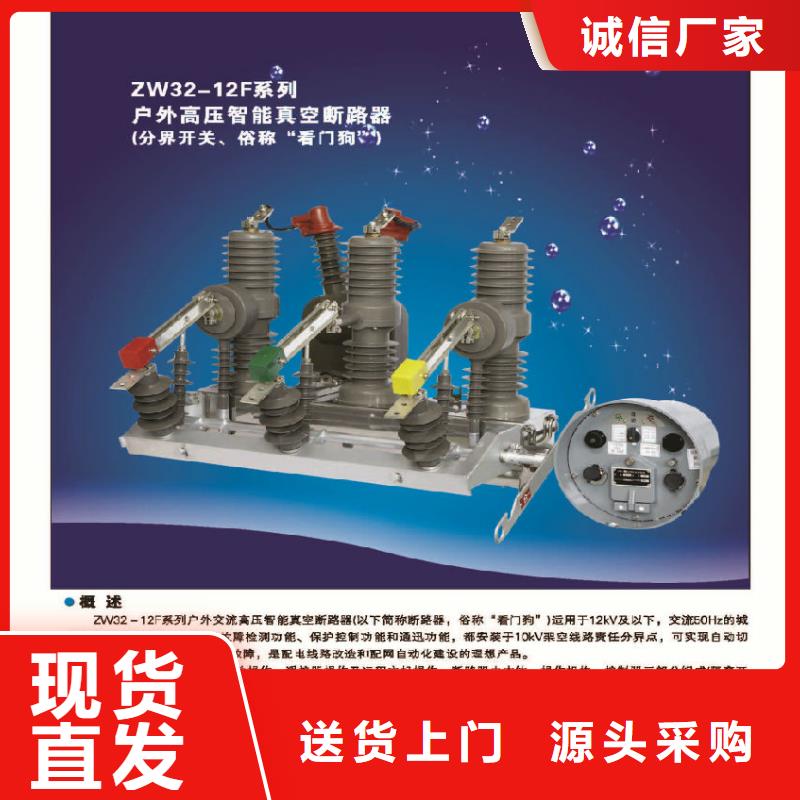 品牌【羿振电力】永磁真空断路器ZW32-12G/M