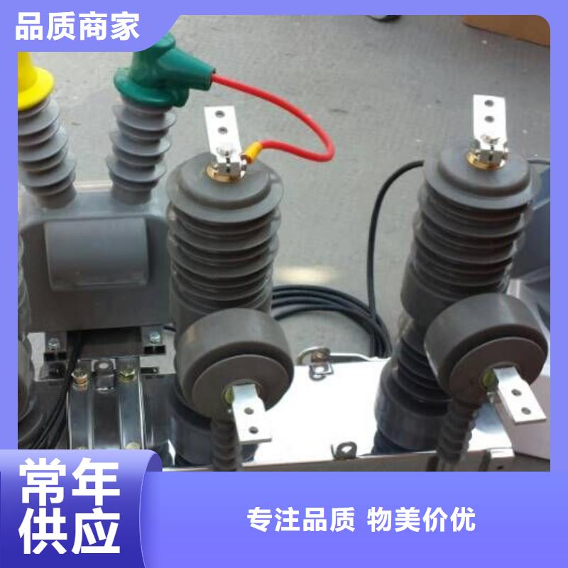 |南江|平昌|遂宁|乐山|成都|眉山羿振ZW32真空断路器跌落式熔断器厂家精致工艺