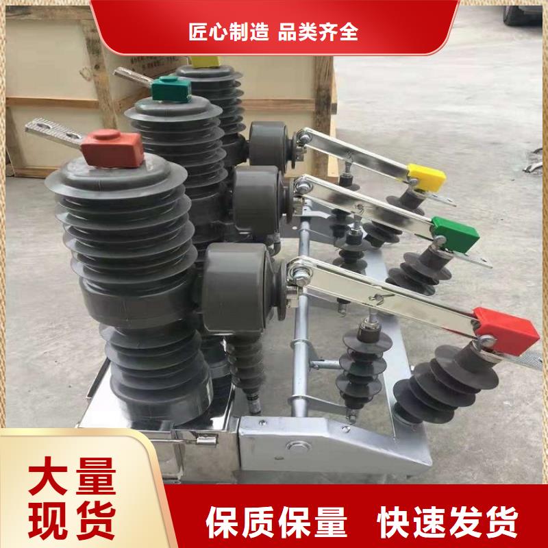 |南江|平昌|遂宁|乐山|成都|眉山羿振ZW32真空断路器跌落式熔断器厂家精致工艺