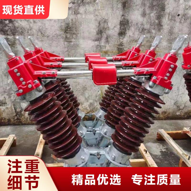 六氟化硫断路器羿振【 GW4 GW5,跌落式熔断器厂家定制速度快工期短】