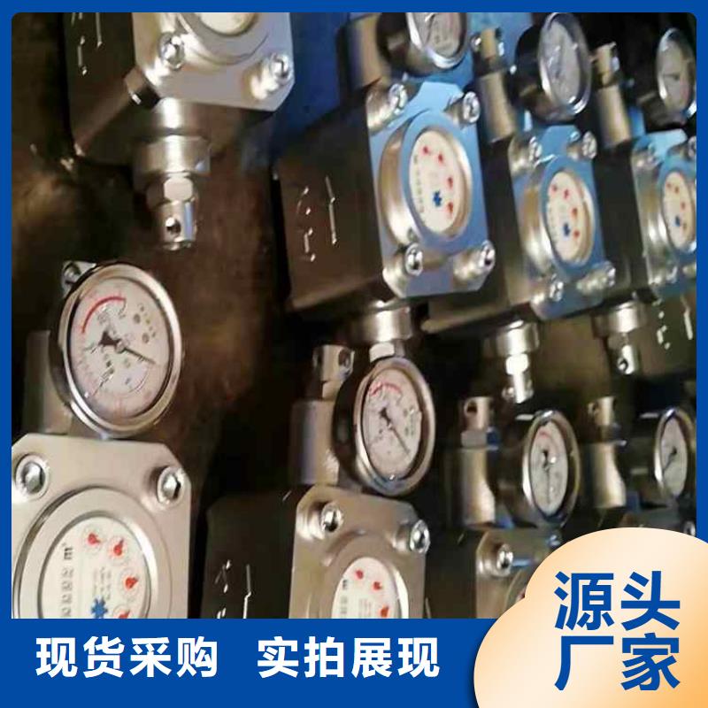 ZGS-6煤层注水表