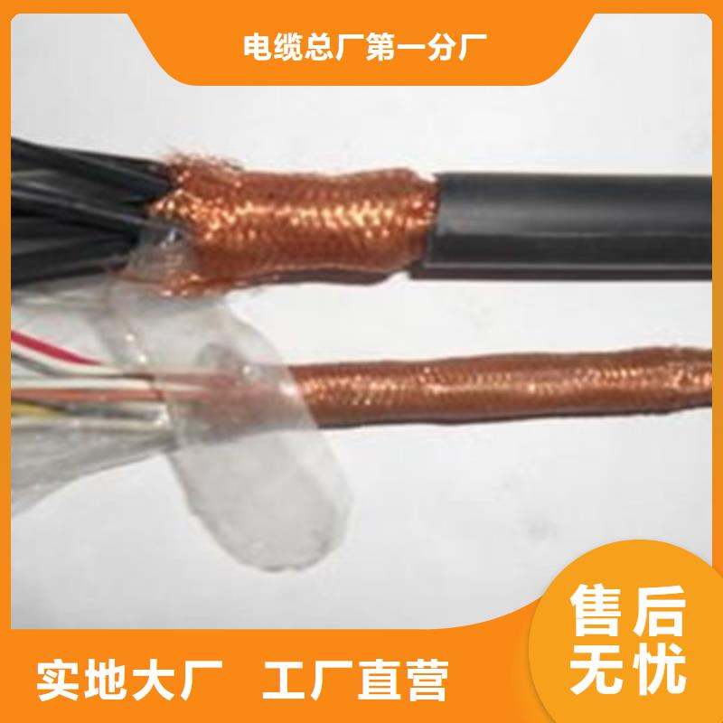 ZR-PVVP2X1.0阻燃屏蔽两芯电缆多少钱生产厂家有样品