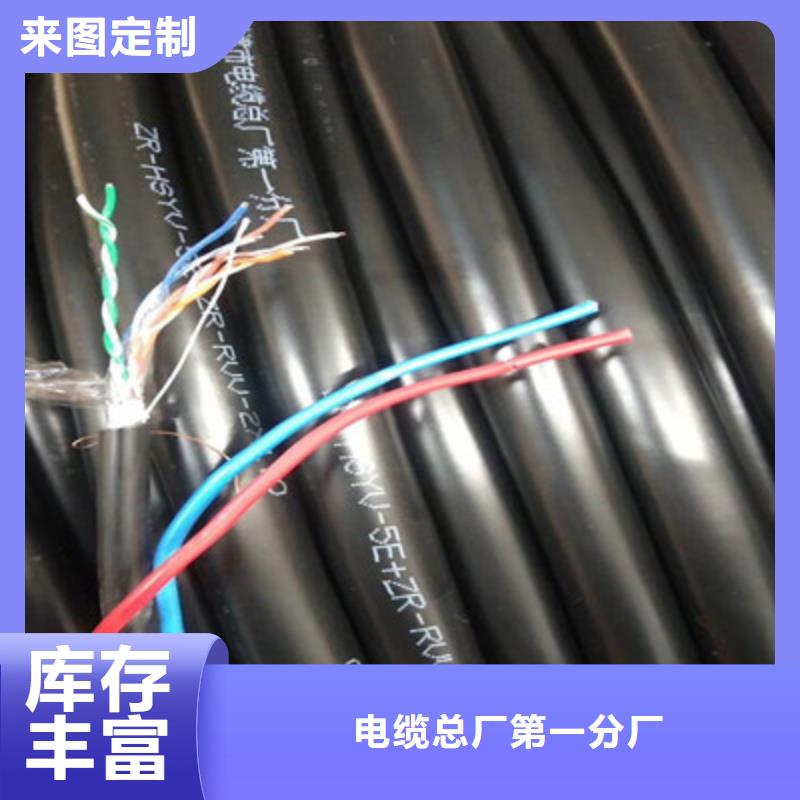 常年供应CKJPF85/SC24X1.0电缆结构-品牌