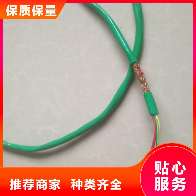 视频影像信号电缆款式多样