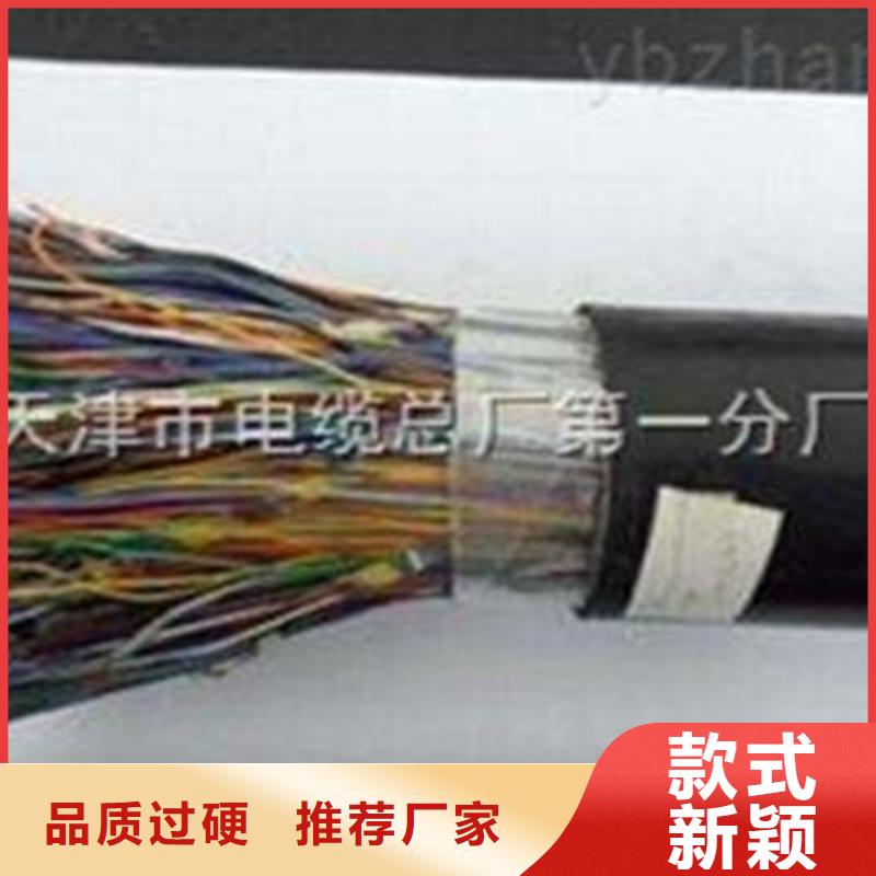 2X5L阻燃铠装屏蔽网线实力老厂