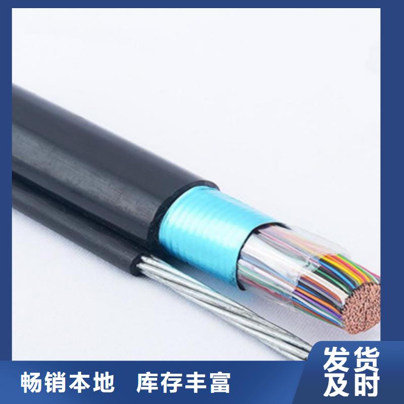 阻燃铠装屏蔽网线ZRA-HSGWPP22承接
