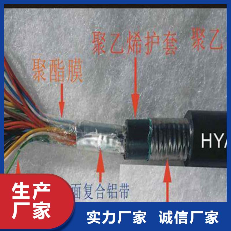 KZ-219413-AS-ROHS铠装网线10X2.5