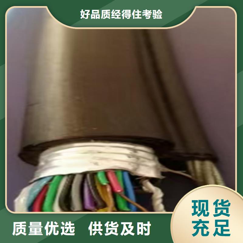 2X5L阻燃铠装屏蔽网线实力老厂