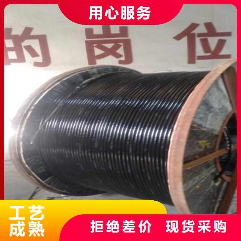 KZ-219413-AS-ROHS铠装网线5对2.5