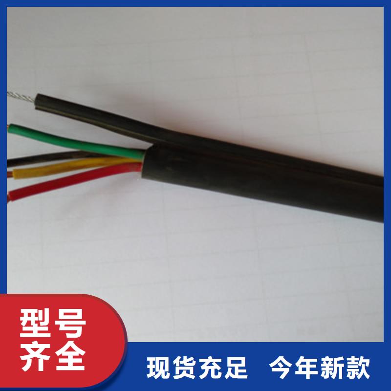 RS232/RS485通讯电缆2对0.5