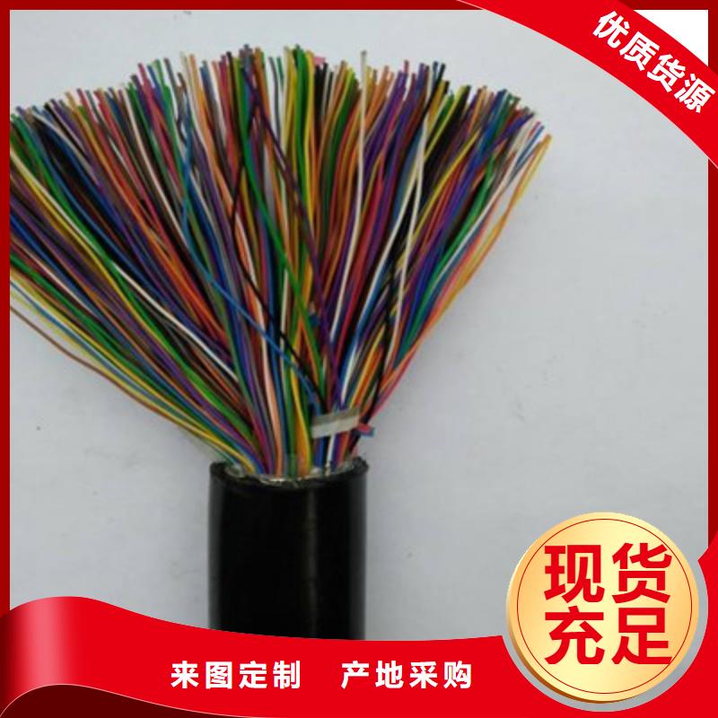 2X5L阻燃铠装屏蔽网线实力老厂