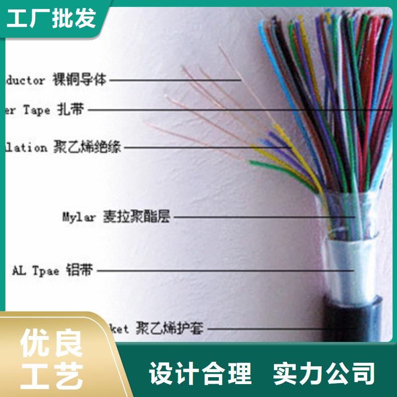 阻燃铠装屏蔽网线ZRA-HSGWPP22承接