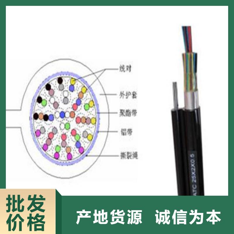 通信电缆电力电缆认准大品牌厂家