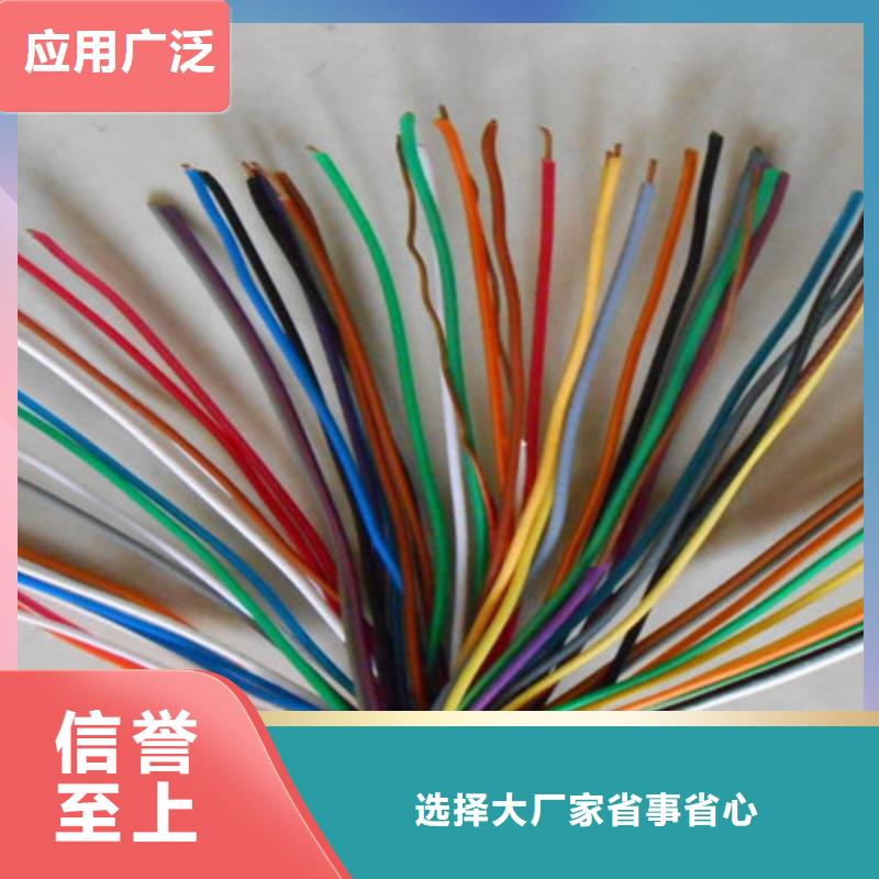 CAN-DW-RS485/92特种电缆2对1.5