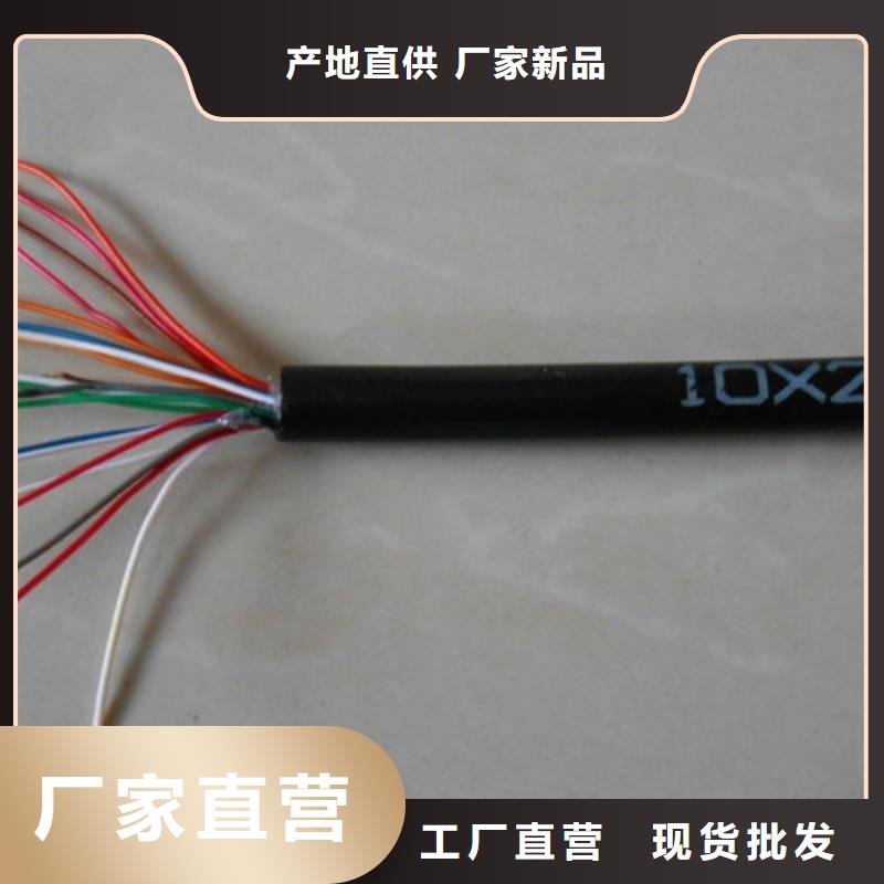 铠装通讯电缆ASTP-1206X0.5