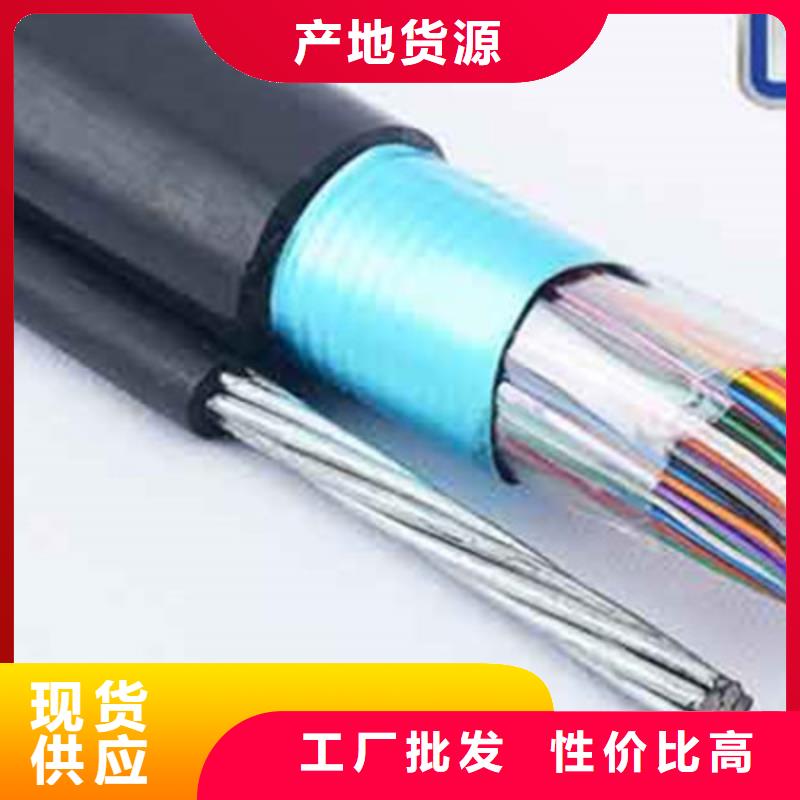 CC-LINKFANC-SB紫色通讯电缆品质优
